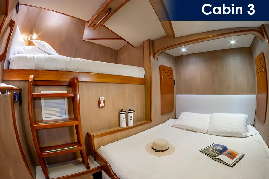 Nemo III Cabin 3